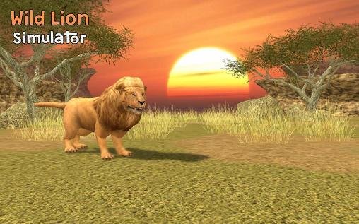 download Wild lion simulator 3D apk